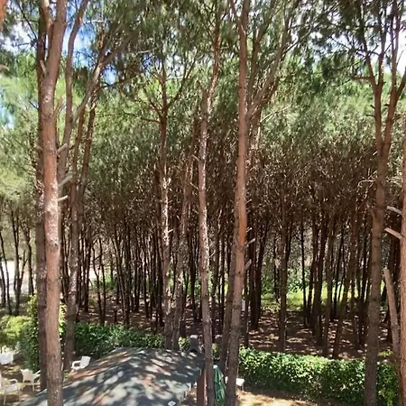 Apartment Qerret *